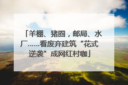 羊棚、猪圈，邮局、水厂……看废弃建筑“花式逆袭”成网红村咖