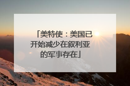 美特使：美国已开始减少在叙利亚的军事存在