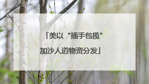 美以“插手包揽”加沙人道物资分发