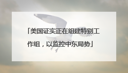 美国证实正在组建特别工作组，以监控中东局势
