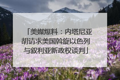 美媒爆料：内塔尼亚胡请求美国斡旋以色列与叙利亚新政权谈判