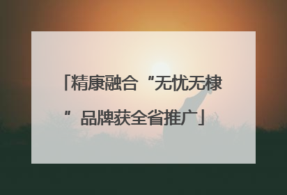 精康融合“无忧无棣”品牌获全省推广