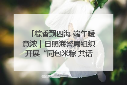 粽香飘四海 端午暖意浓｜日照海警局组织开展“同包米粽 共话端午”系列活动