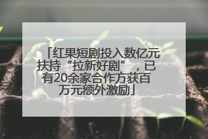 红果短剧投入数亿元扶持“拉新好剧”，已有20余家合作方获百万元额外激励