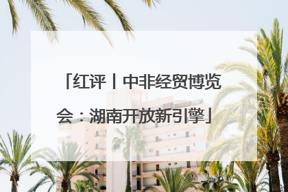 红评丨中非经贸博览会：湖南开放新引擎
