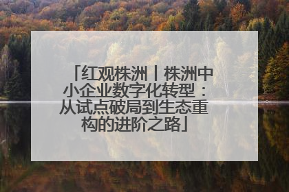 红观株洲丨株洲中小企业数字化转型：从试点破局到生态重构的进阶之路