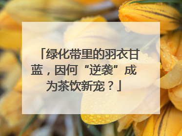 绿化带里的羽衣甘蓝，因何“逆袭”成为茶饮新宠？