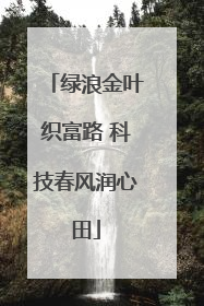 绿浪金叶织富路 科技春风润心田