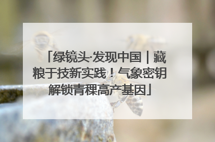 绿镜头·发现中国｜藏粮于技新实践！气象密钥解锁青稞高产基因