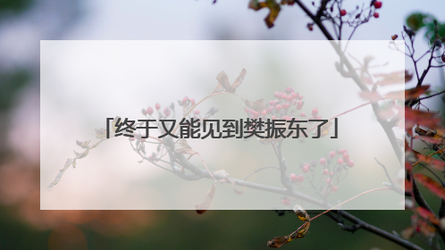 终于又能见到樊振东了