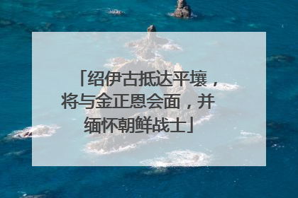 绍伊古抵达平壤，将与金正恩会面，并缅怀朝鲜战士