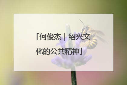 何俊杰｜绍兴文化的公共精神