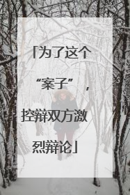 为了这个“案子”，控辩双方激烈辩论
