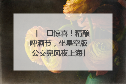 一口惊喜！精酿啤酒节，坐星空版公交兜风夜上海