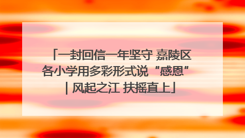 一封回信一年坚守 嘉陵区各小学用多彩形式说“感恩”｜风起之江 扶摇直上