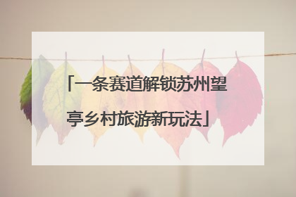 一条赛道解锁苏州望亭乡村旅游新玩法