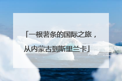 一根薯条的国际之旅，从内蒙古到斯里兰卡