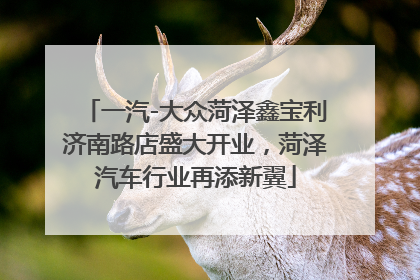 一汽-大众菏泽鑫宝利济南路店盛大开业，菏泽汽车行业再添新翼