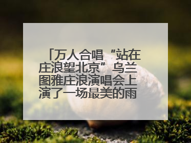 万人合唱“站在庄浪望北京”乌兰图雅庄浪演唱会上演了一场最美的雨中双向奔赴