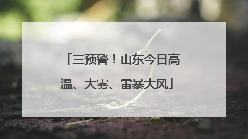 三预警！山东今日高温、大雾、雷暴大风