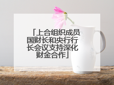 上合组织成员国财长和央行行长会议支持深化财金合作
