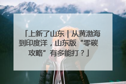 上新了山东｜从黄渤海到印度洋，山东版“零碳攻略”有多能打？