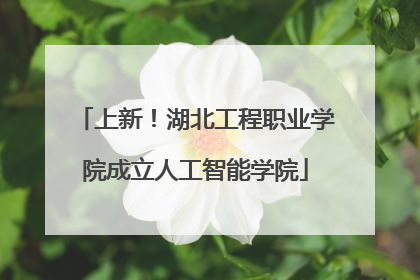 上新！湖北工程职业学院成立人工智能学院