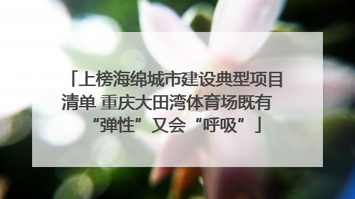 上榜海绵城市建设典型项目清单 重庆大田湾体育场既有“弹性”又会“呼吸”