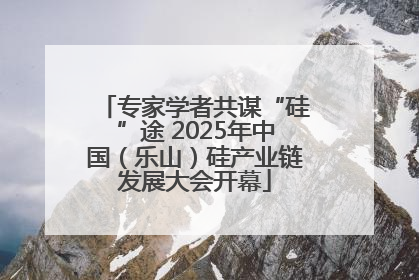 专家学者共谋“硅”途 2025年中国（乐山）硅产业链发展大会开幕