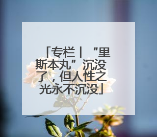 专栏丨“里斯本丸”沉没了，但人性之光永不沉没
