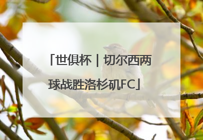 世俱杯｜切尔西两球战胜洛杉矶FC