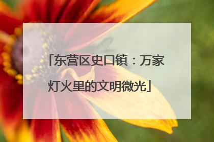 东营区史口镇：万家灯火里的文明微光
