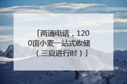两通电话，1200亩小麦一站式收储（三夏进行时）