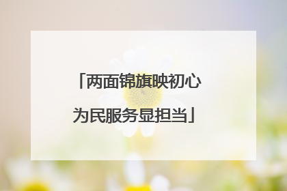 两面锦旗映初心 为民服务显担当