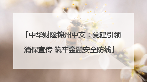 中华财险锦州中支：党建引领消保宣传 筑牢金融安全防线