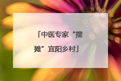 中医专家“摆摊”宜阳乡村