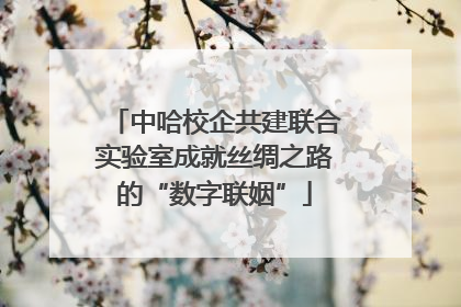 中哈校企共建联合实验室成就丝绸之路的“数字联姻”
