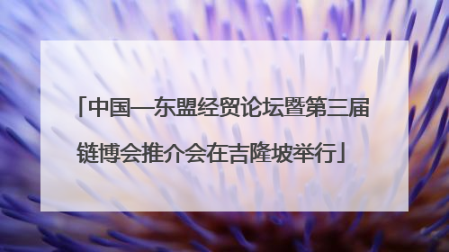 中国—东盟经贸论坛暨第三届链博会推介会在吉隆坡举行