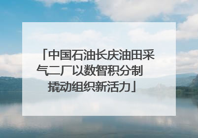 中国石油长庆油田采气二厂以数智积分制 撬动组织新活力