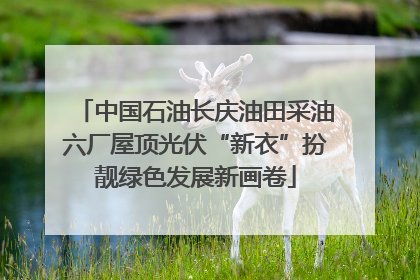 中国石油长庆油田采油六厂屋顶光伏“新衣”扮靓绿色发展新画卷