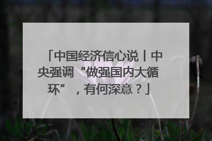 中国经济信心说丨中央强调“做强国内大循环”，有何深意？