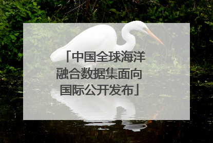 中国全球海洋融合数据集面向国际公开发布
