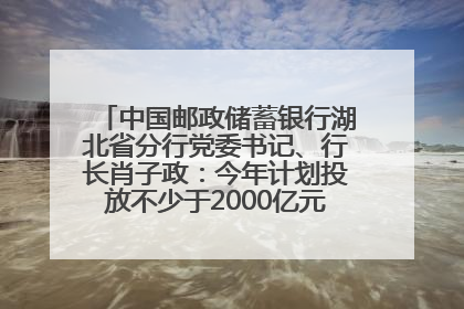 中国邮政储蓄银行湖北省分行党委书记、行长肖子政：今年计划投放不少于2000亿元支持支点建设
