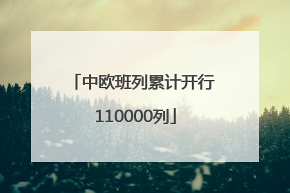 中欧班列累计开行110000列