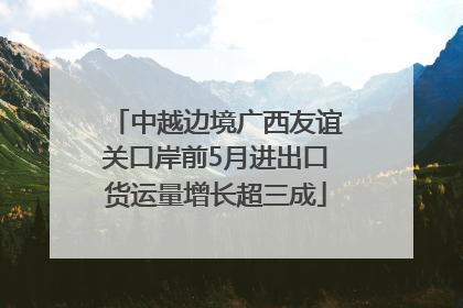 中越边境广西友谊关口岸前5月进出口货运量增长超三成