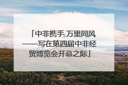中非携手 万里同风——写在第四届中非经贸博览会开幕之际