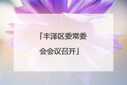 丰泽区委常委会会议召开