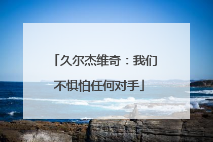 久尔杰维奇：我们不惧怕任何对手