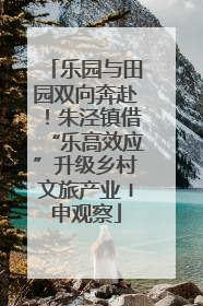 乐园与田园双向奔赴！朱泾镇借“乐高效应”升级乡村文旅产业〡申观察