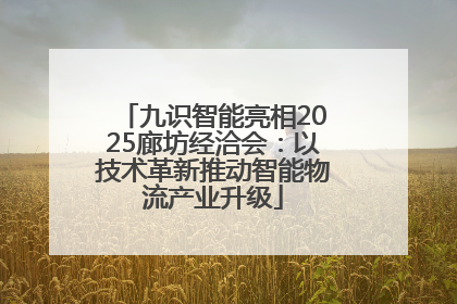 九识智能亮相2025廊坊经洽会：以技术革新推动智能物流产业升级